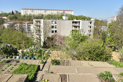 Cliquez sur la vignette pour l'agrandir